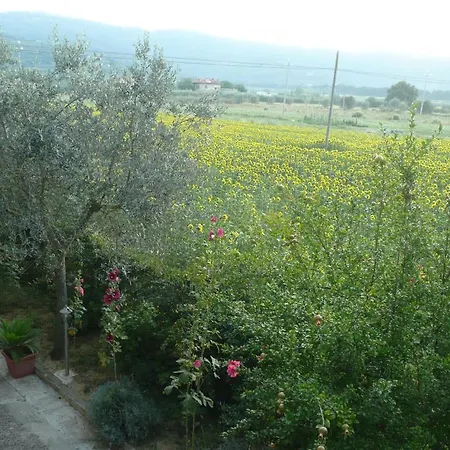 Al Giardino Degli Ulivi לינה וארוחת בוקר טואורו סול טראסימנו