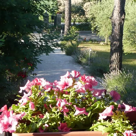 Al Giardino Degli Ulivi