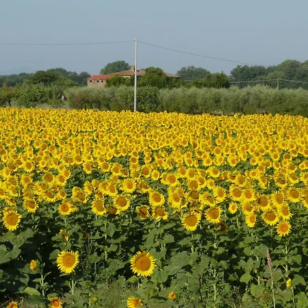 Bed & Breakfast Al Giardino Degli Ulivi 3*