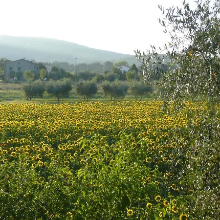 לינה וארוחת בוקר Al Giardino Degli Ulivi