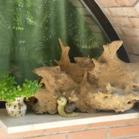 לינה וארוחת בוקר Al Giardino Degli Ulivi טואורו סול טראסימנו
